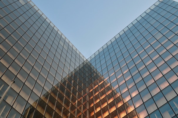 brown and black building under blue sky during daytime