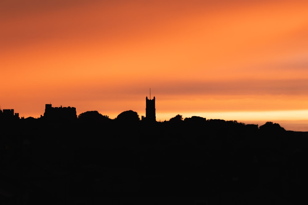 silhouette of trees during sunset