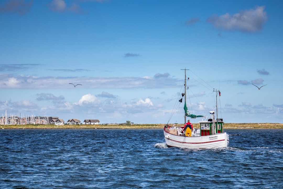 white and blue boat on sea during daytime