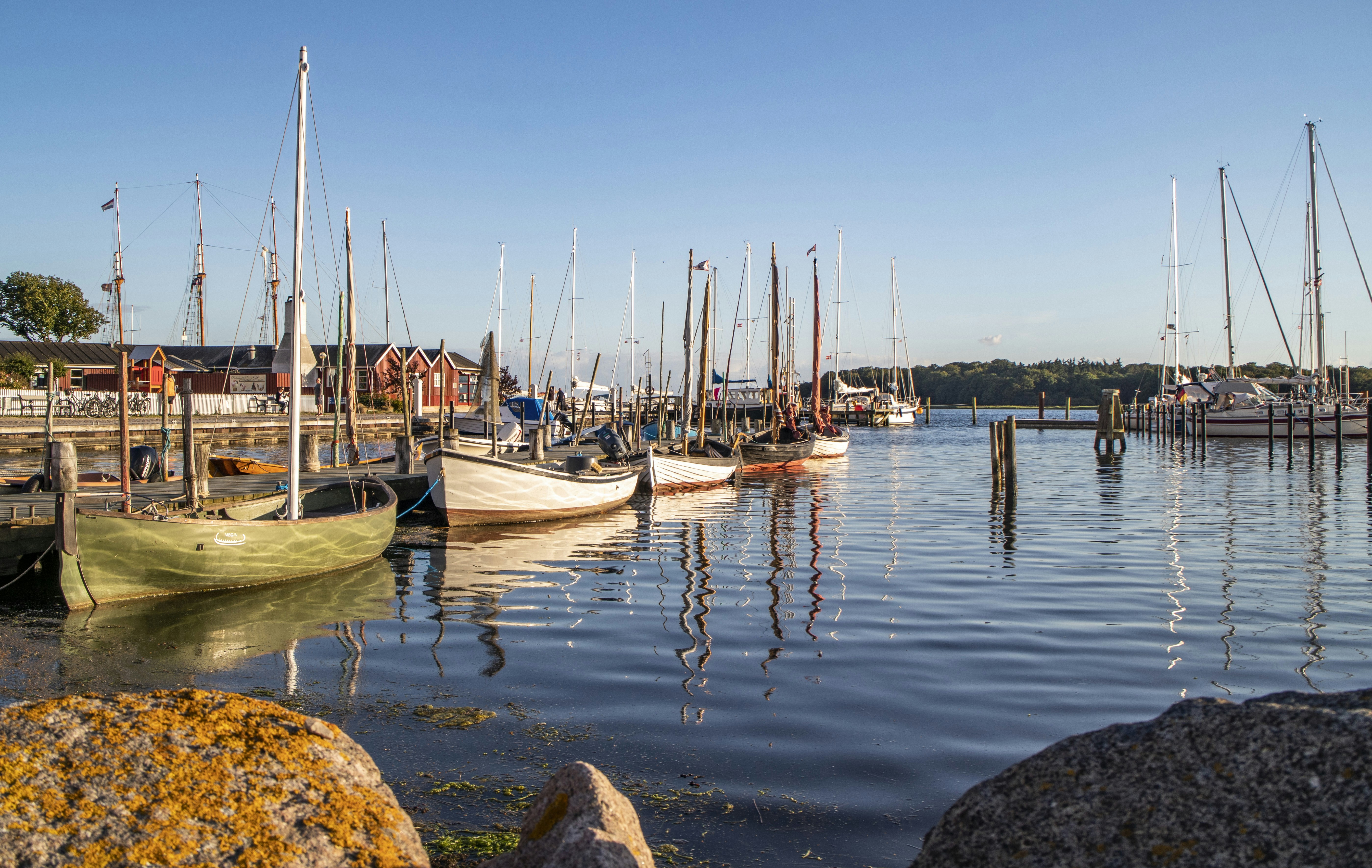 Photo by michaelheld