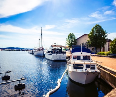 white and blue boat on body of water during daytime