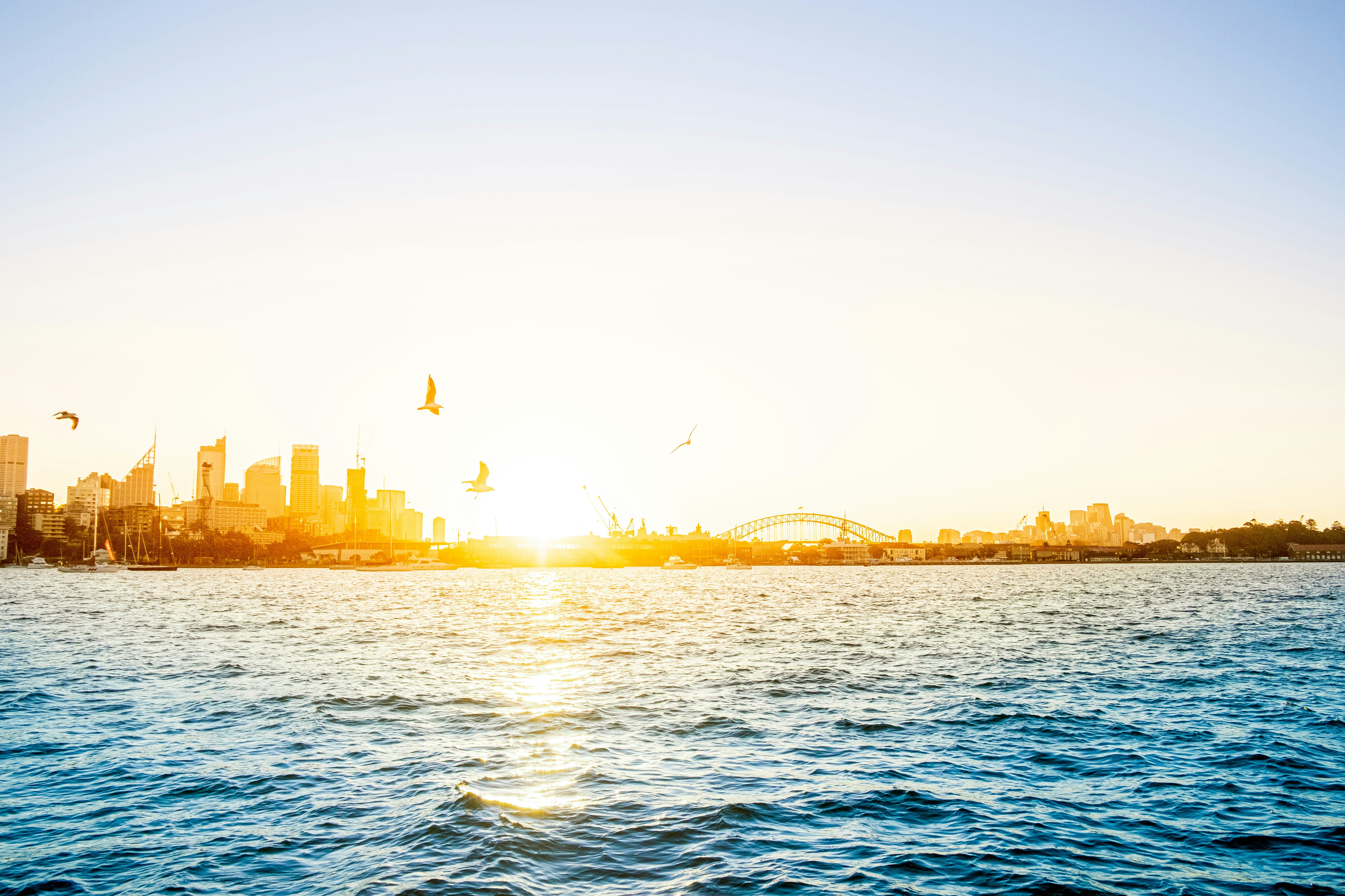 Photo by msohebzaidi