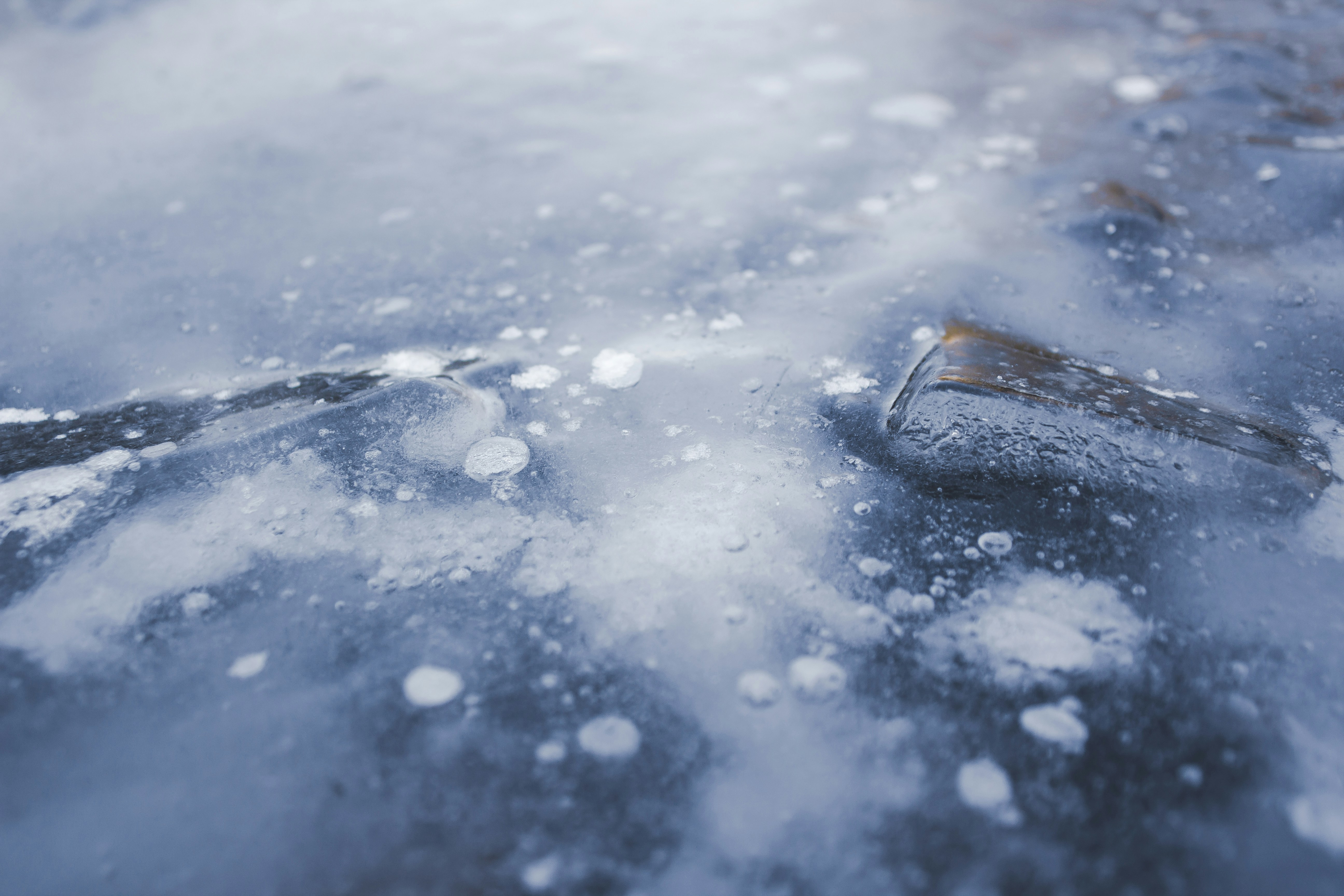 Photo by joelsphotography