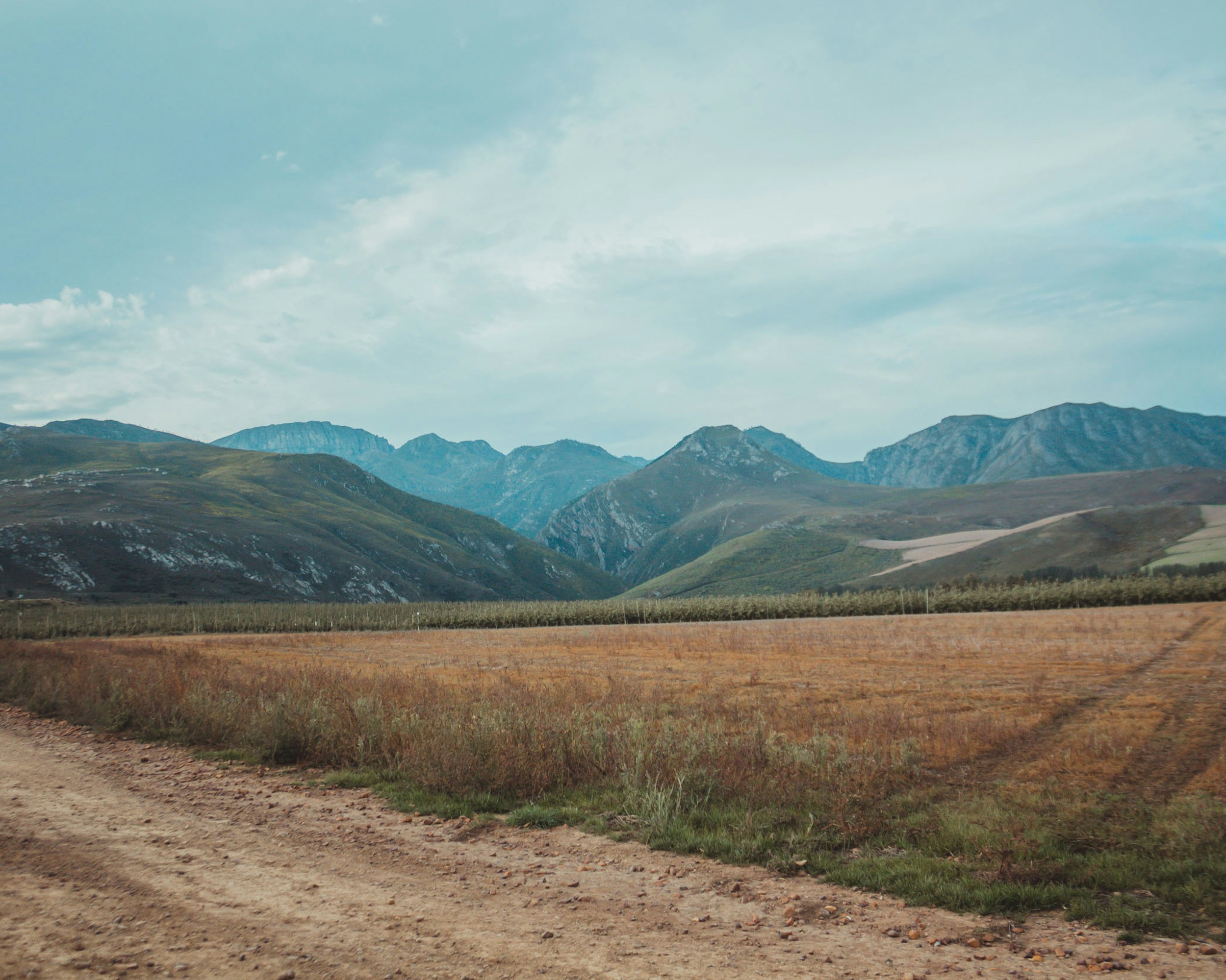 Photo by melaniemill