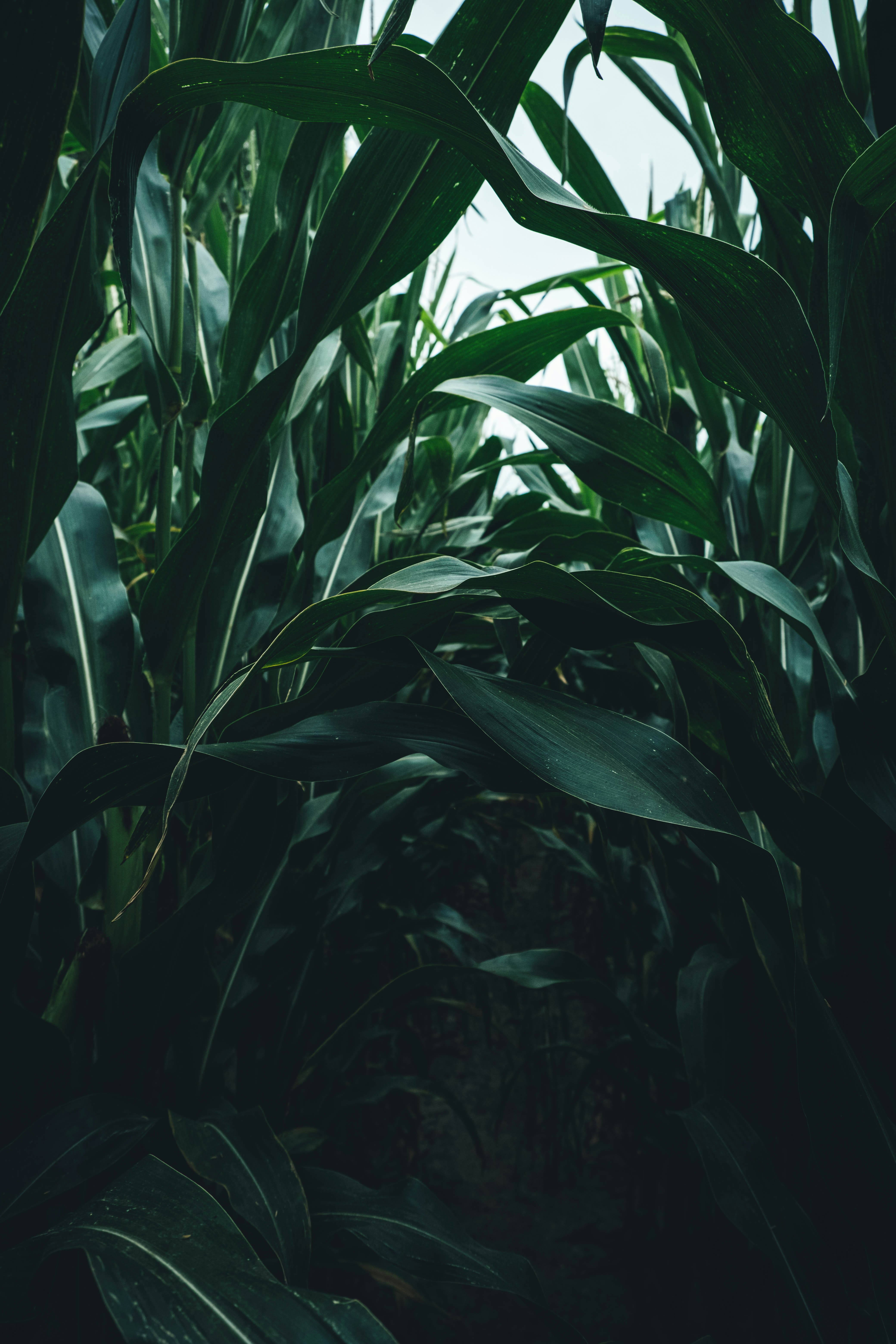 Photo by ialwayswantedagun