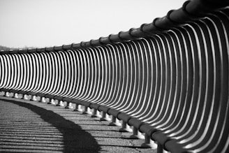 grayscale photo of metal fence