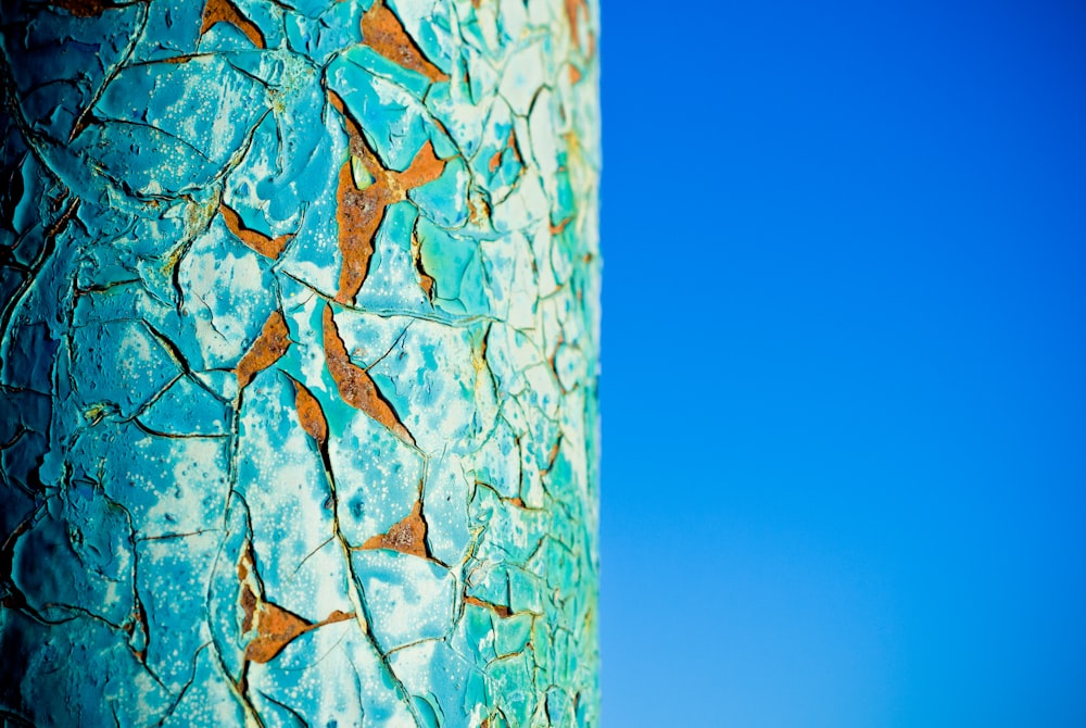 blue and brown tree trunk