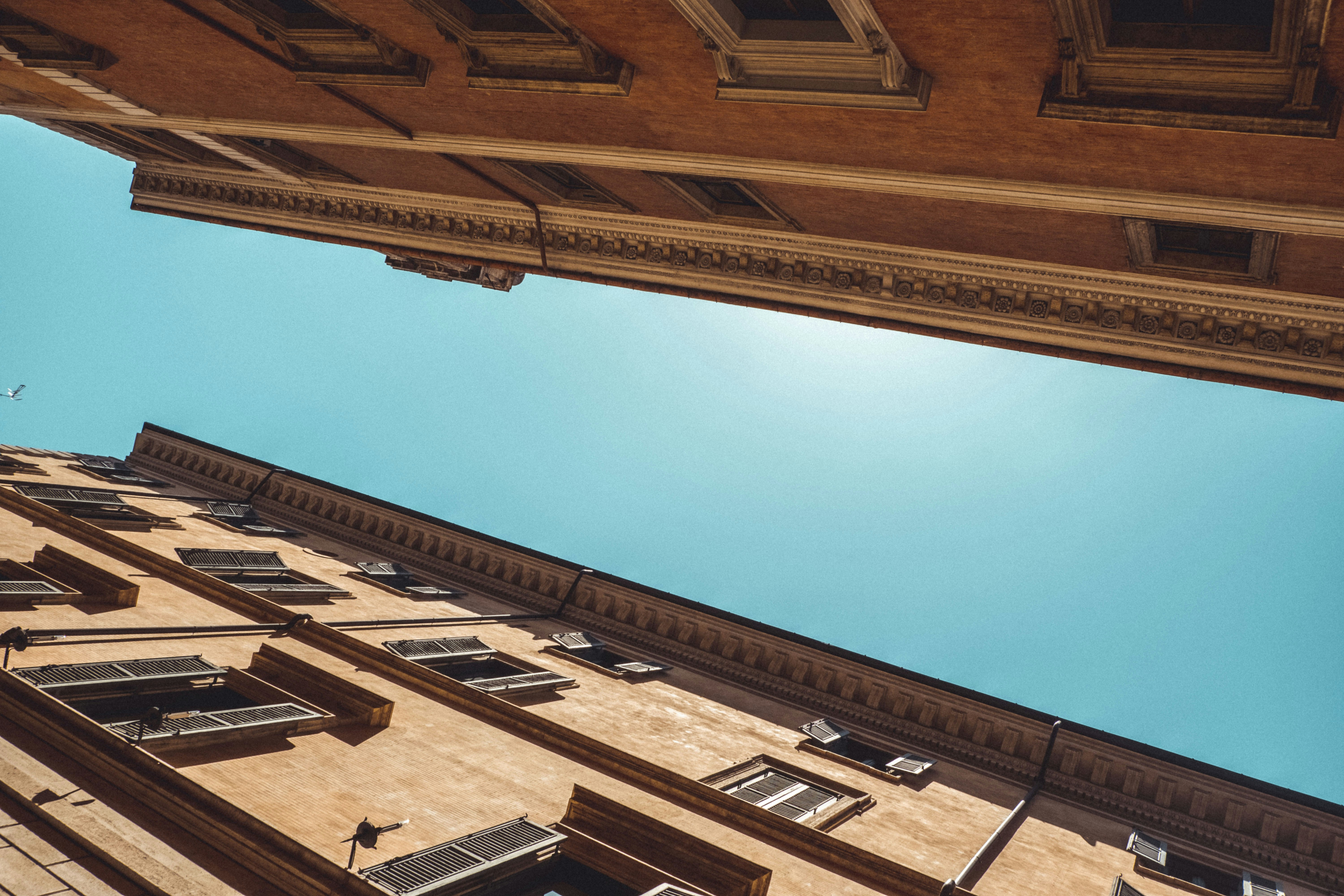 Photo by moritz_photography