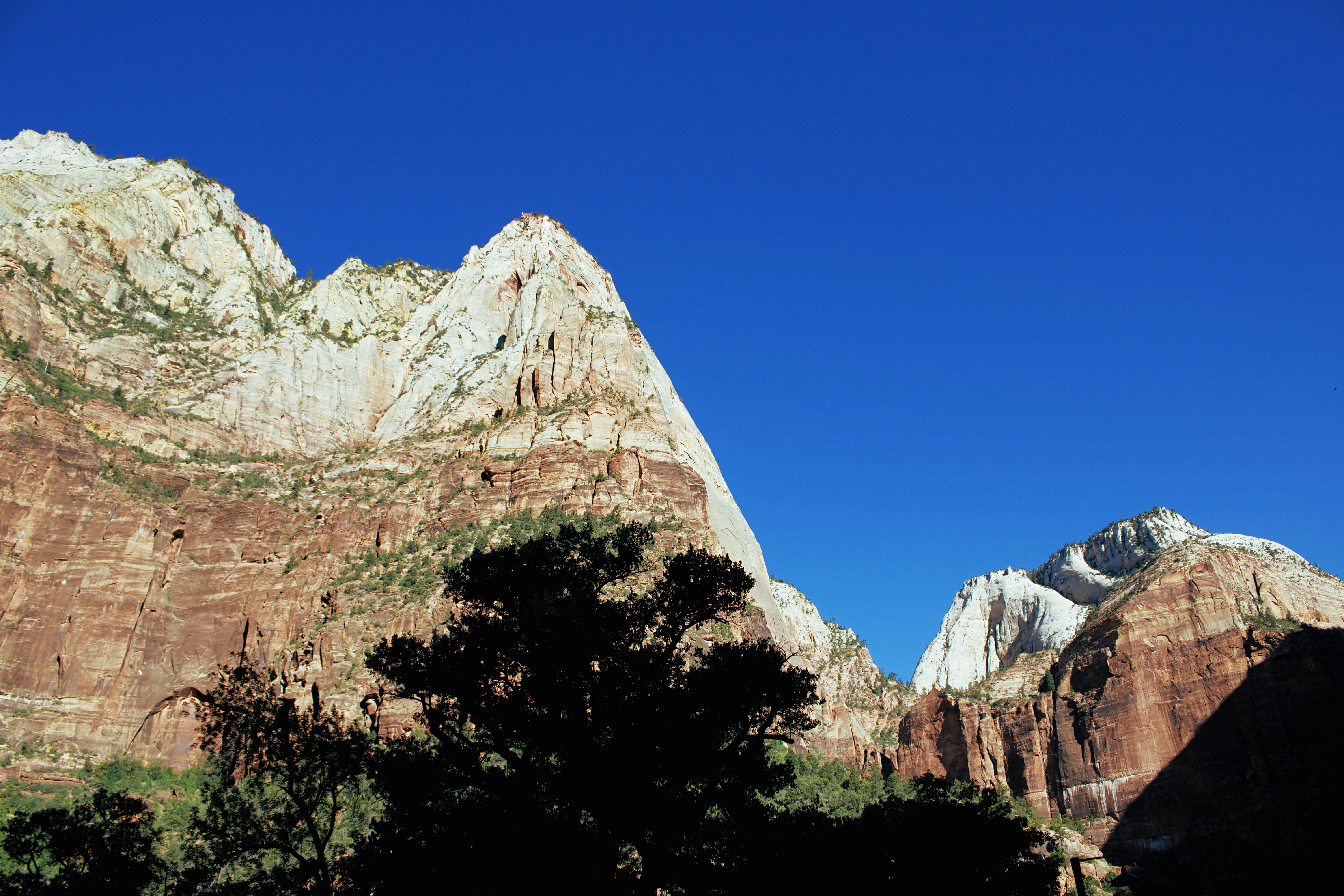 Photo by picsbyjameslee