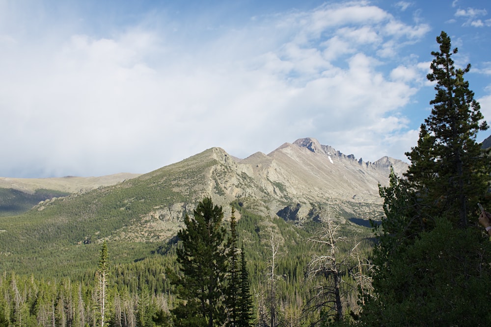 green pine trees near mountain under white clouds during daytime