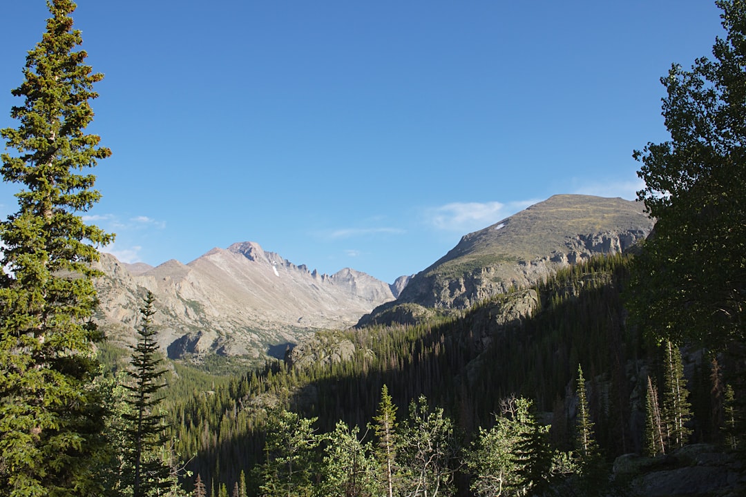 green pine trees near mountain under blue sky during daytime