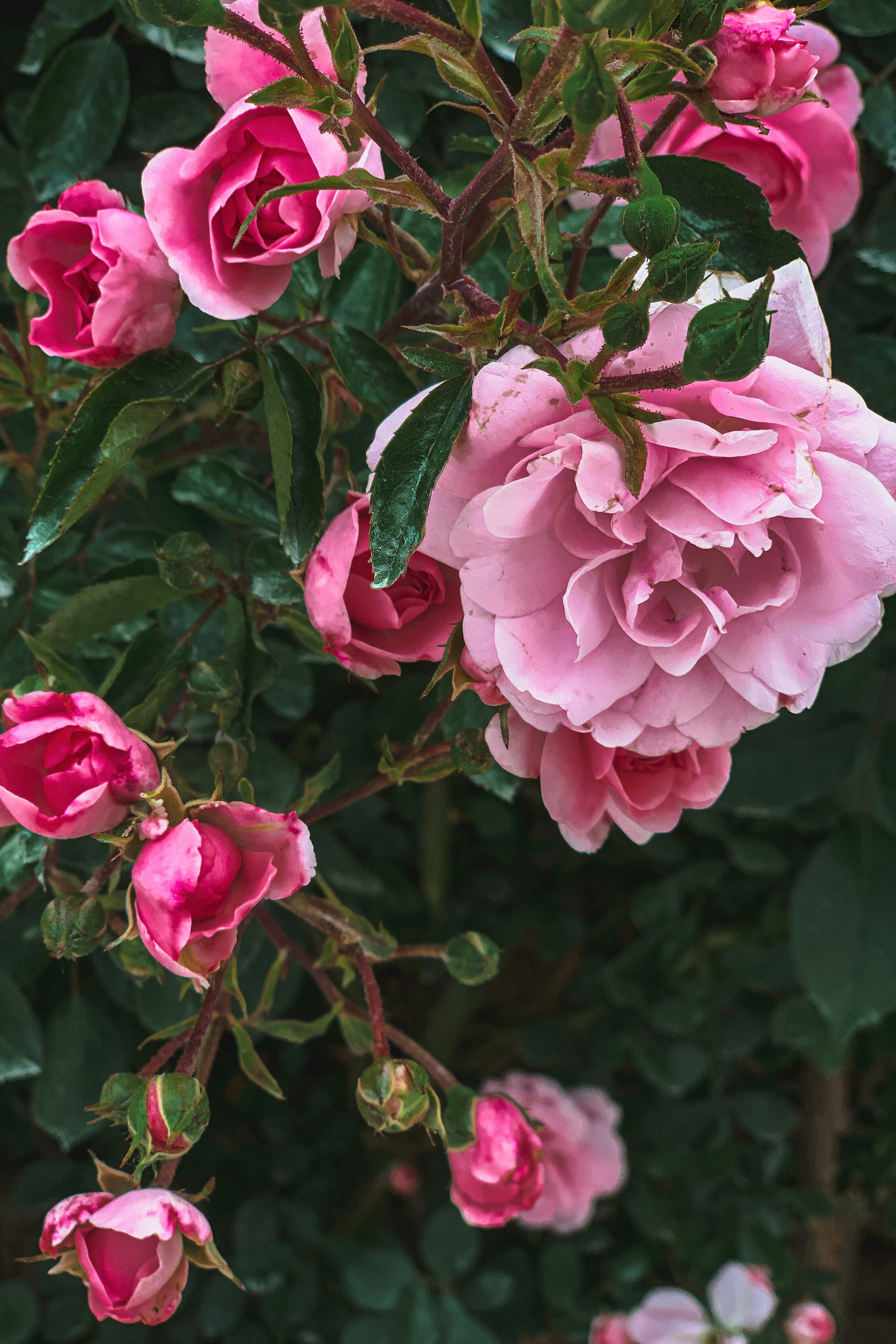 Photo by kekse_und_ich