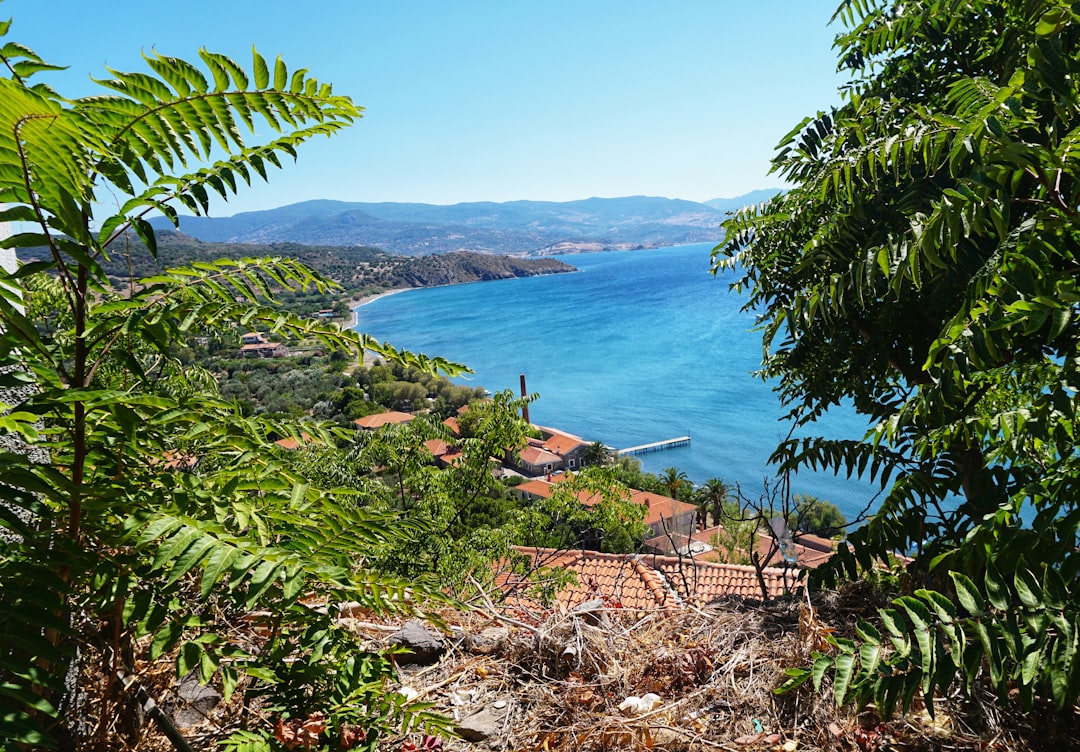 Nature reserve photo spot Molyvos Castle Άγιος Ισίδωρος