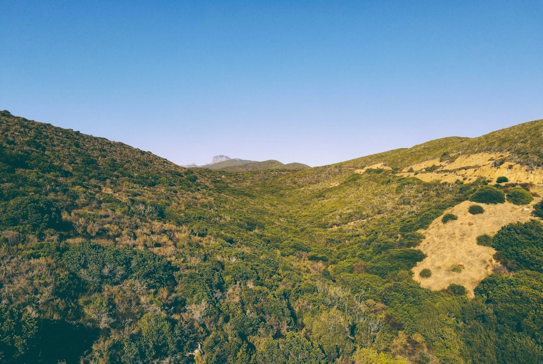 green grass covered mountain under blue sky during daytime