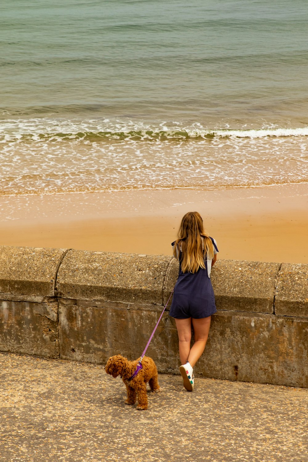 woman in black and white stripe shirt and blue denim shorts standing on concrete wall near near near near near