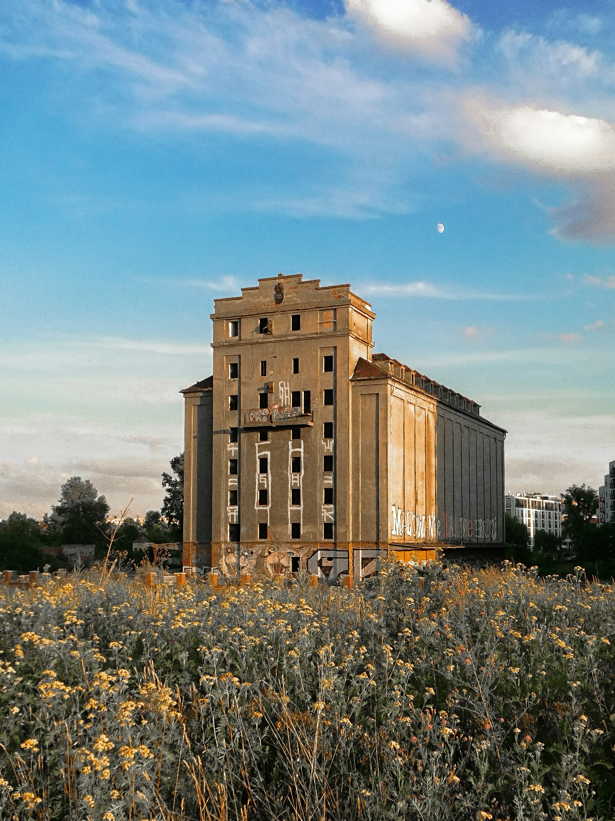 Braunes Betongebäude in der Nähe von grünen Bäumen unter blauem Himmel tagsüber