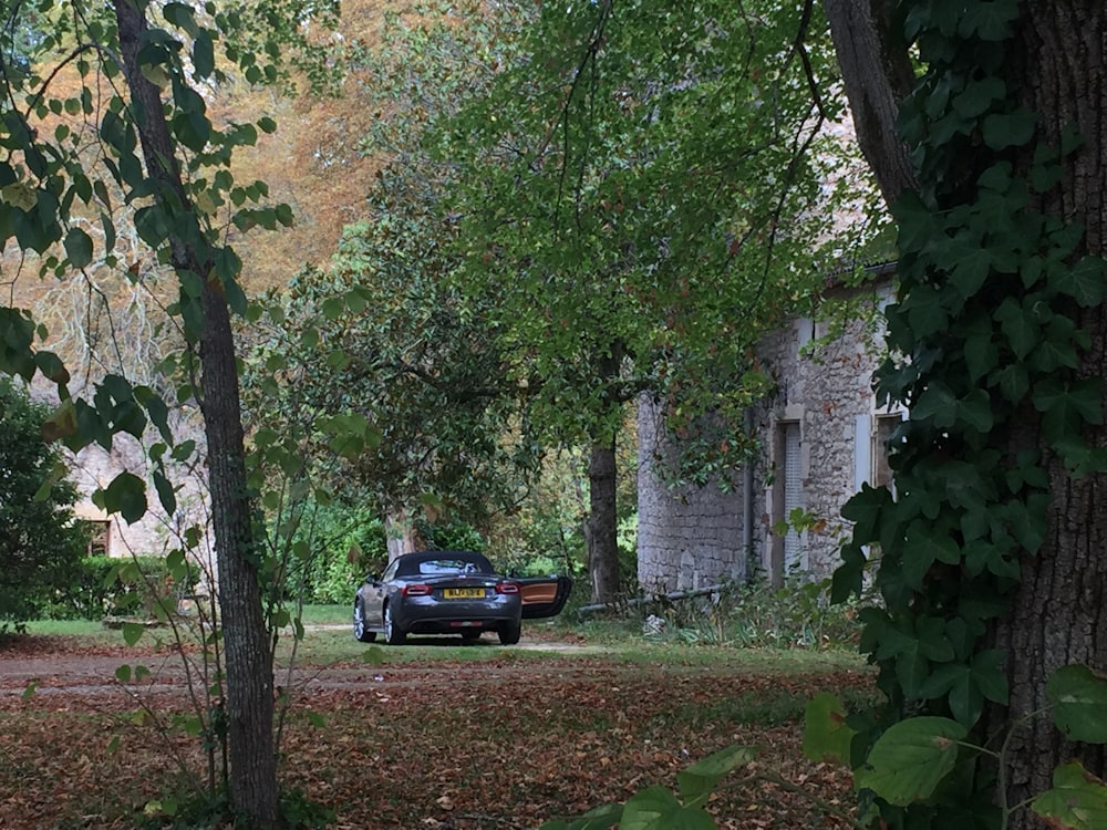 black sedan parked near green trees during daytime