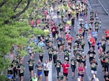 A large group of runners participates in a marathon on a city street lined with green trees. The participants wear various colorful athletic clothing, with many sporting numbered race bibs. The atmosphere is lively, with runners of diverse ages moving at different paces.