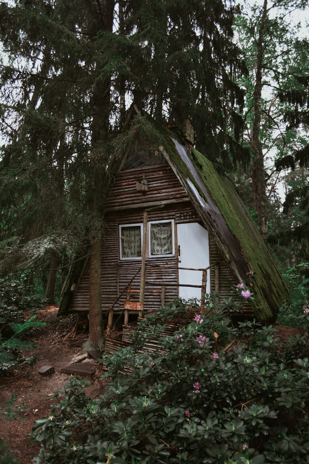 brown wooden house in the woods