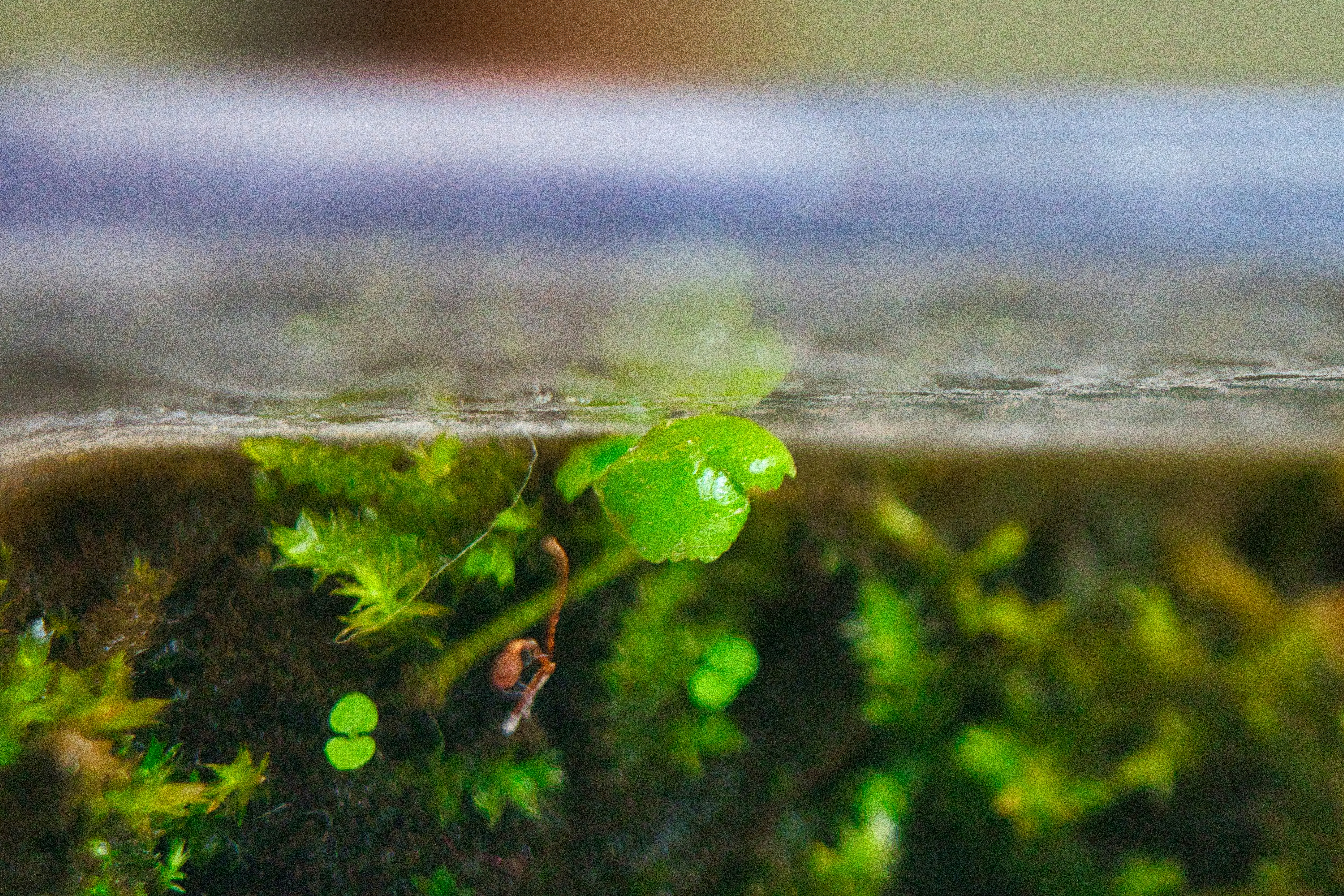 Photo by thomaskinto