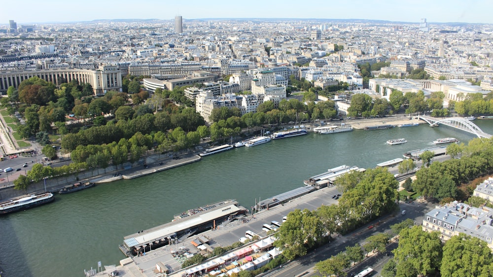 aerial view of city buildings near body of water during daytime