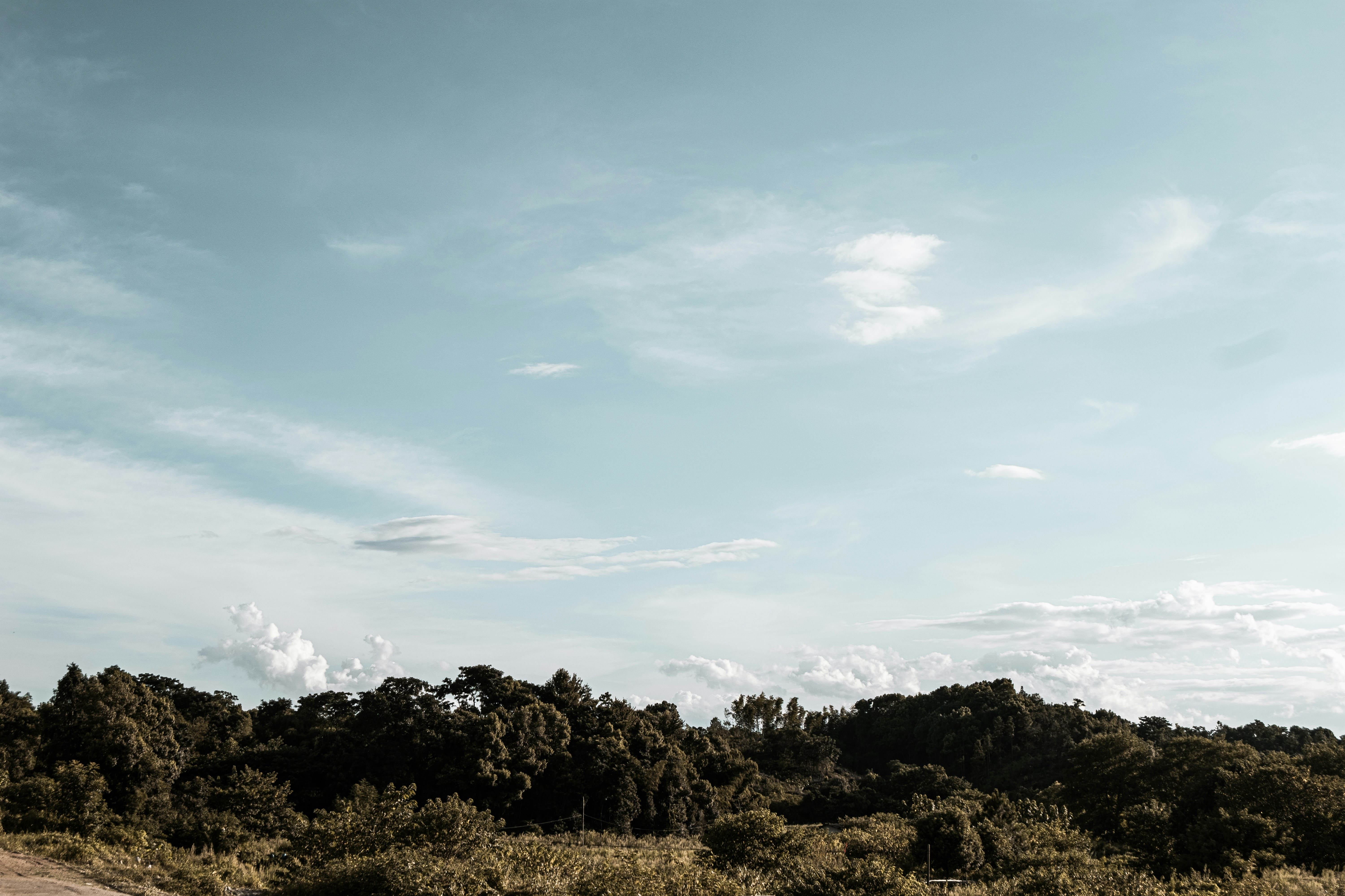 Photo by xiexianghua