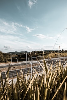 A highway or road surrounded by tall grasses in the foreground, with a distant view of mountains under a vast, cloudy sky. The infrastructure appears new and/or underused.