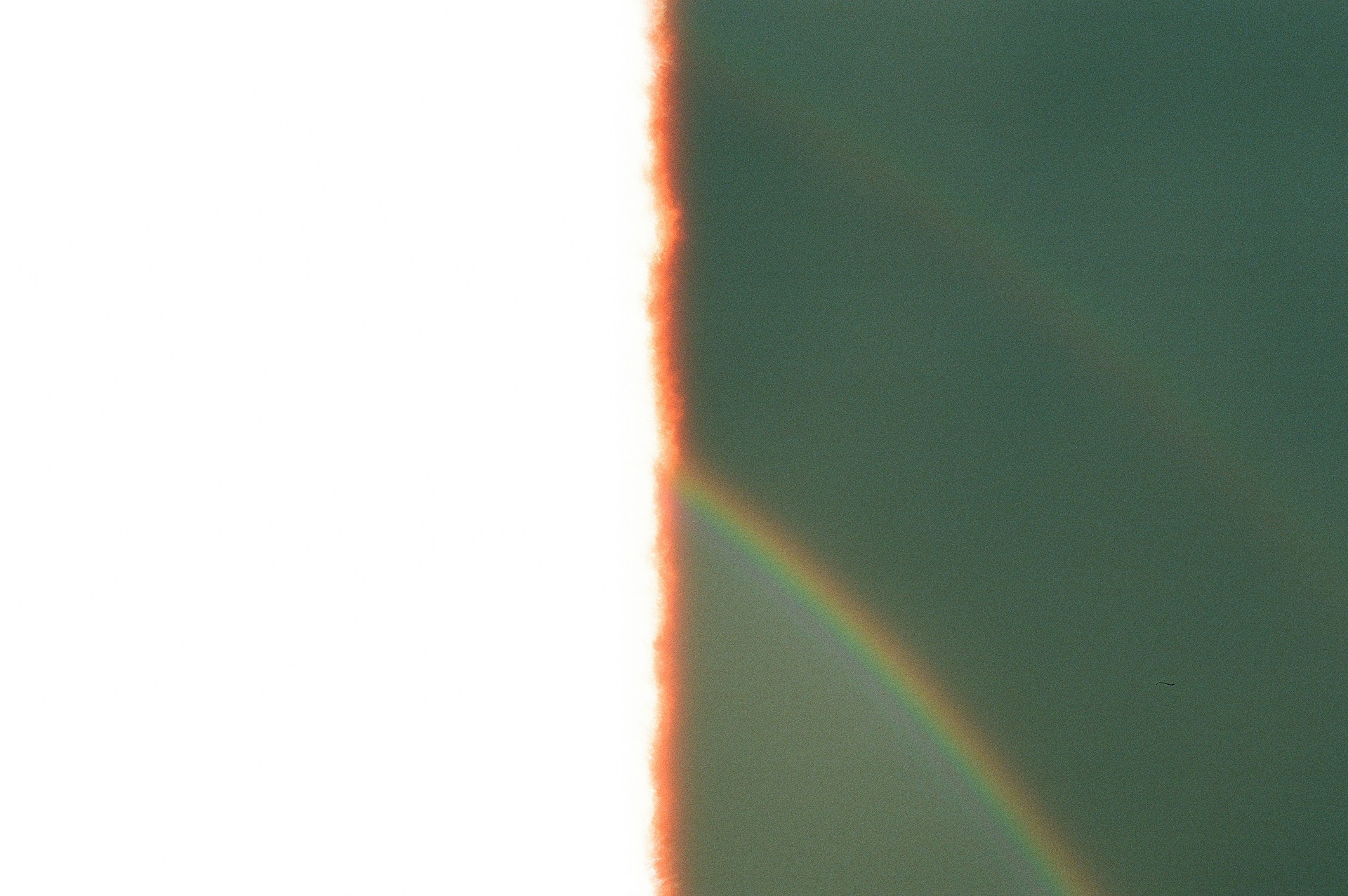 white coated wire on black textile