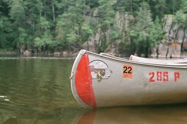 A canoe with a visible red and silver color scheme is floating on a calm body of water. The canoe has decals and numbers, including '22' and '285 P', and it is positioned near the shore. Lush green trees and rocky outcroppings are visible in the background.