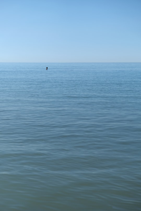 person in body of water during daytime in Île de Ré France