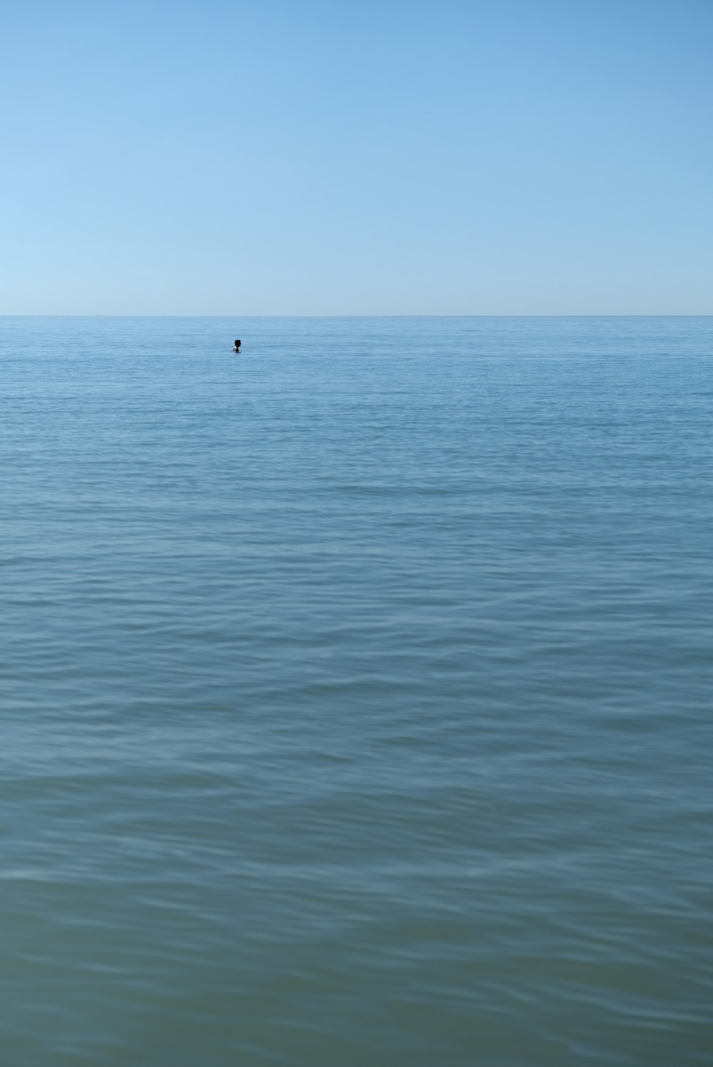 person in body of water during daytime