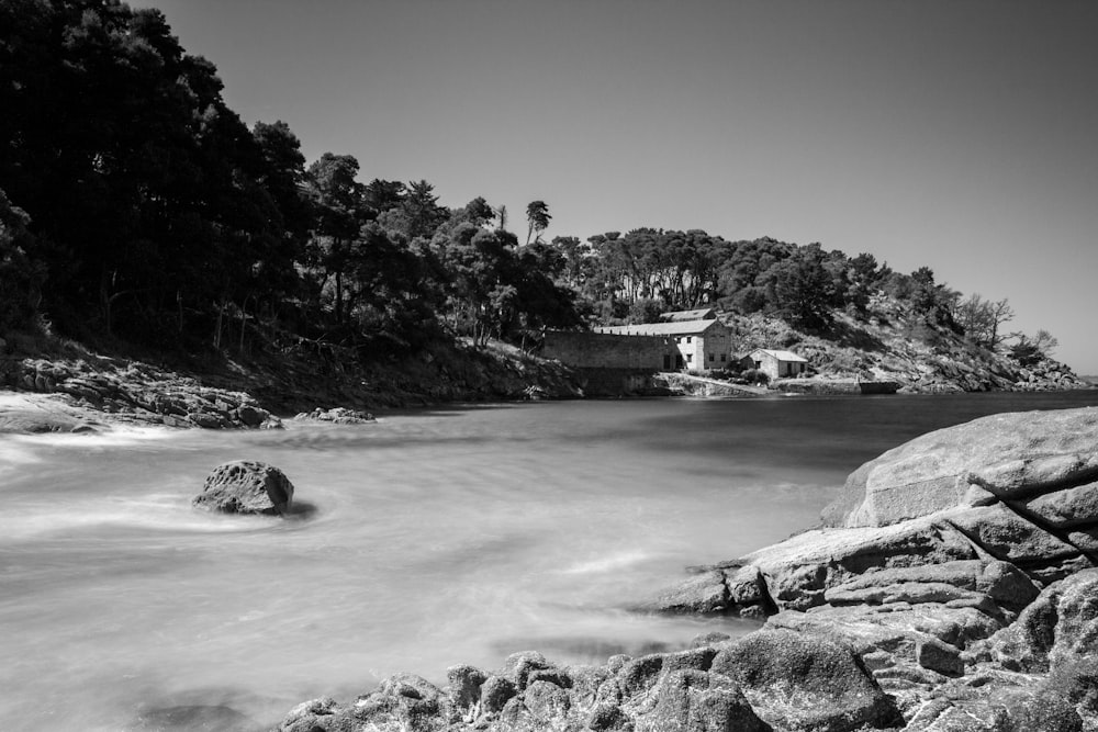 Foto en escala de grises de un cuerpo de agua cerca de los árboles