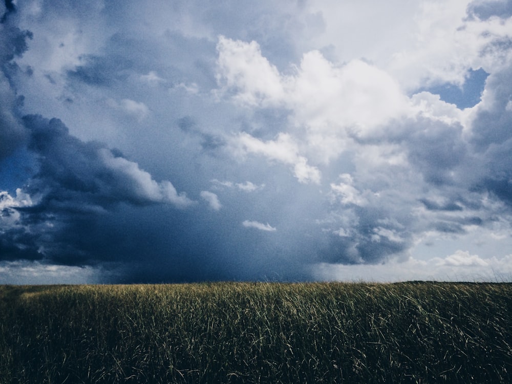 green grass field under white clouds during daytime