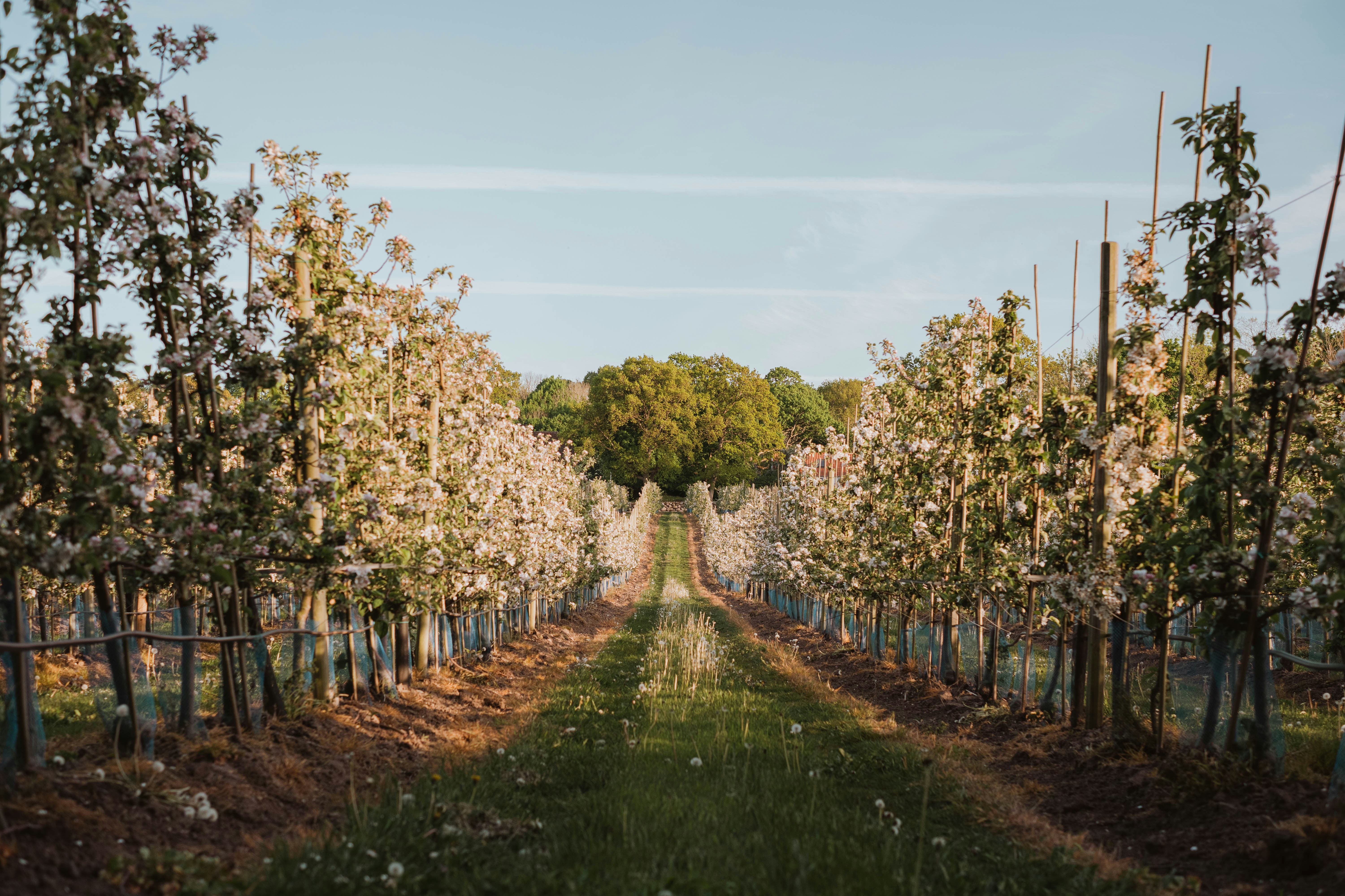 Photo by louisekrause