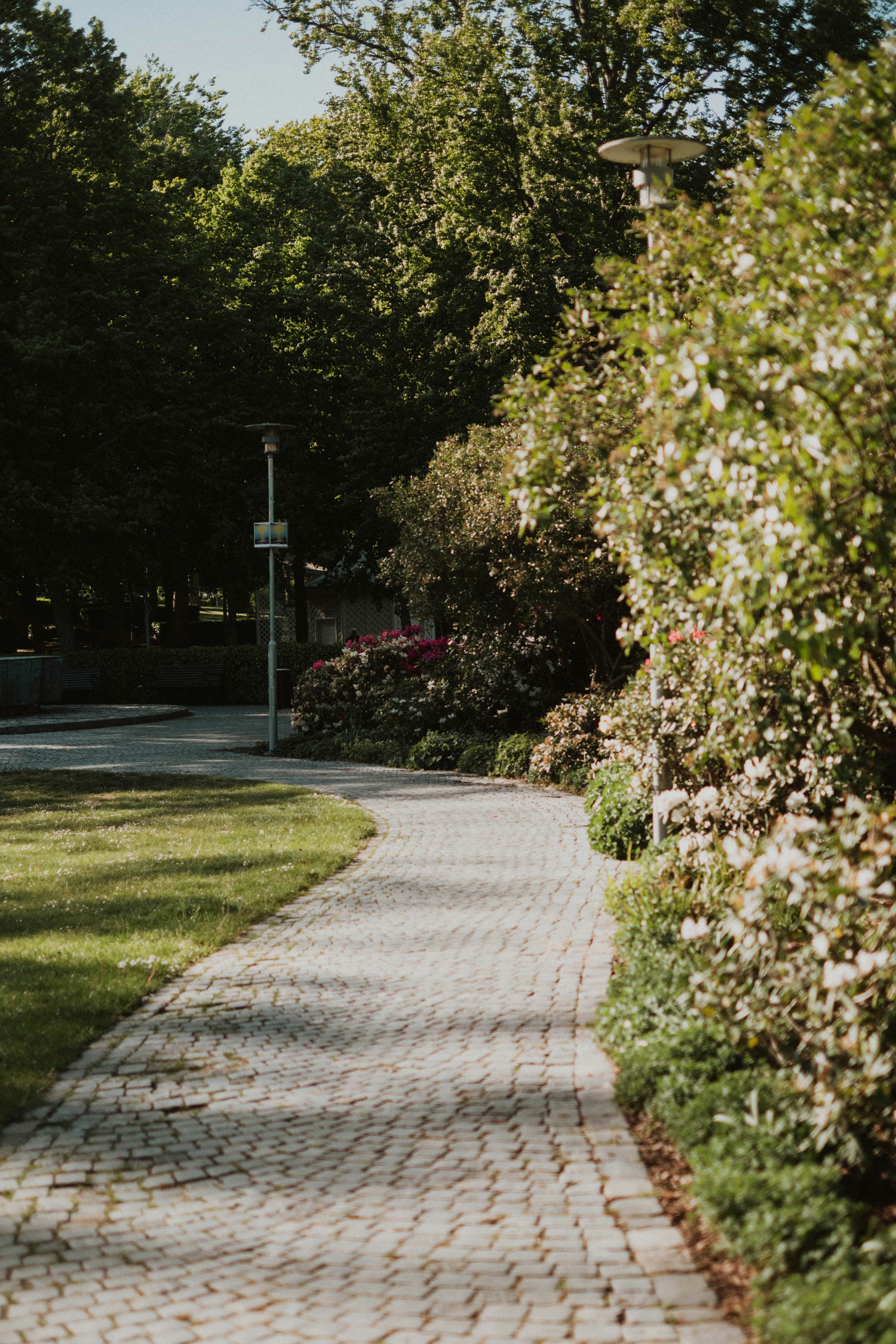 Photo by louisekrause