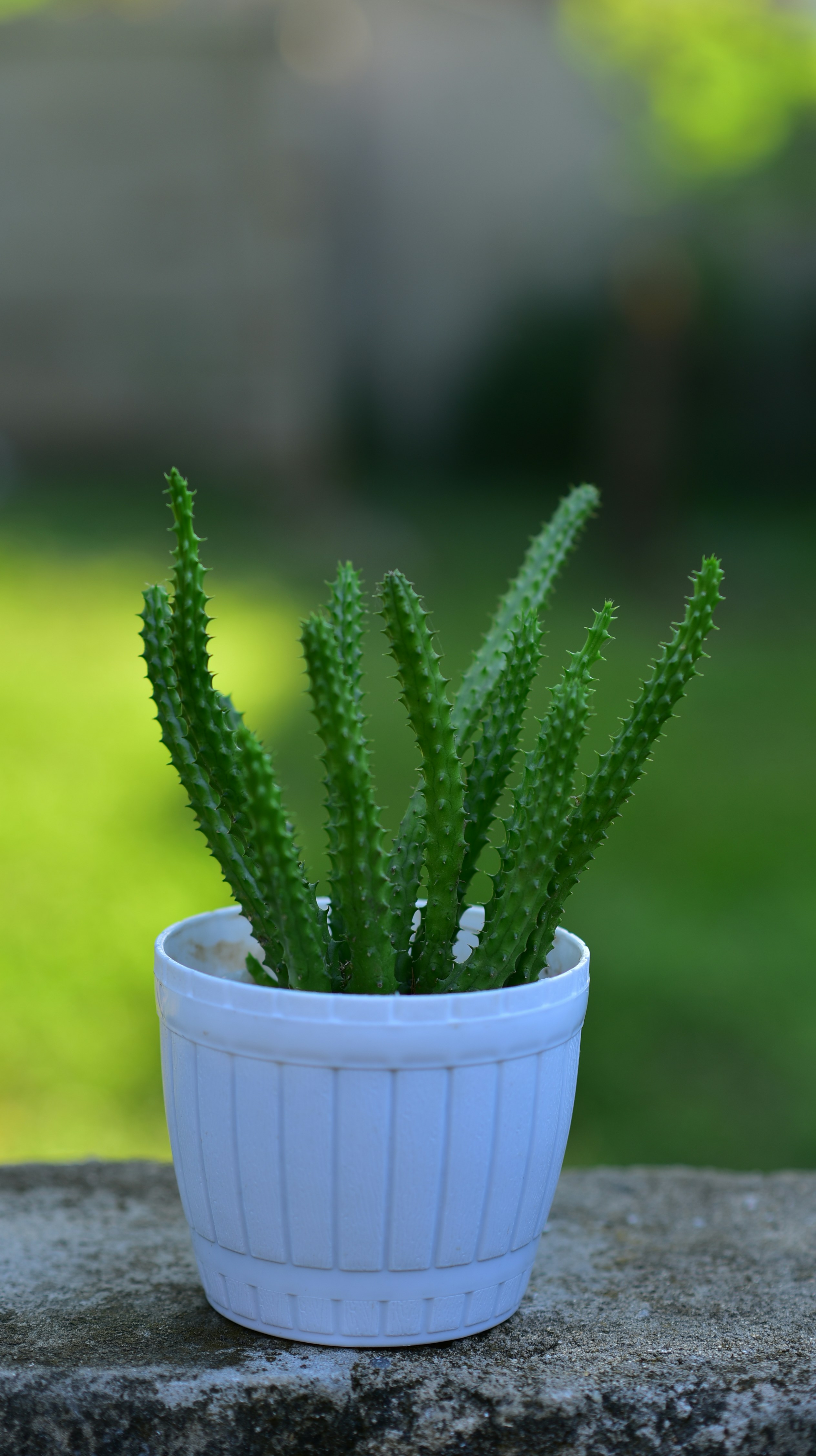 Photo by joshua_mhando