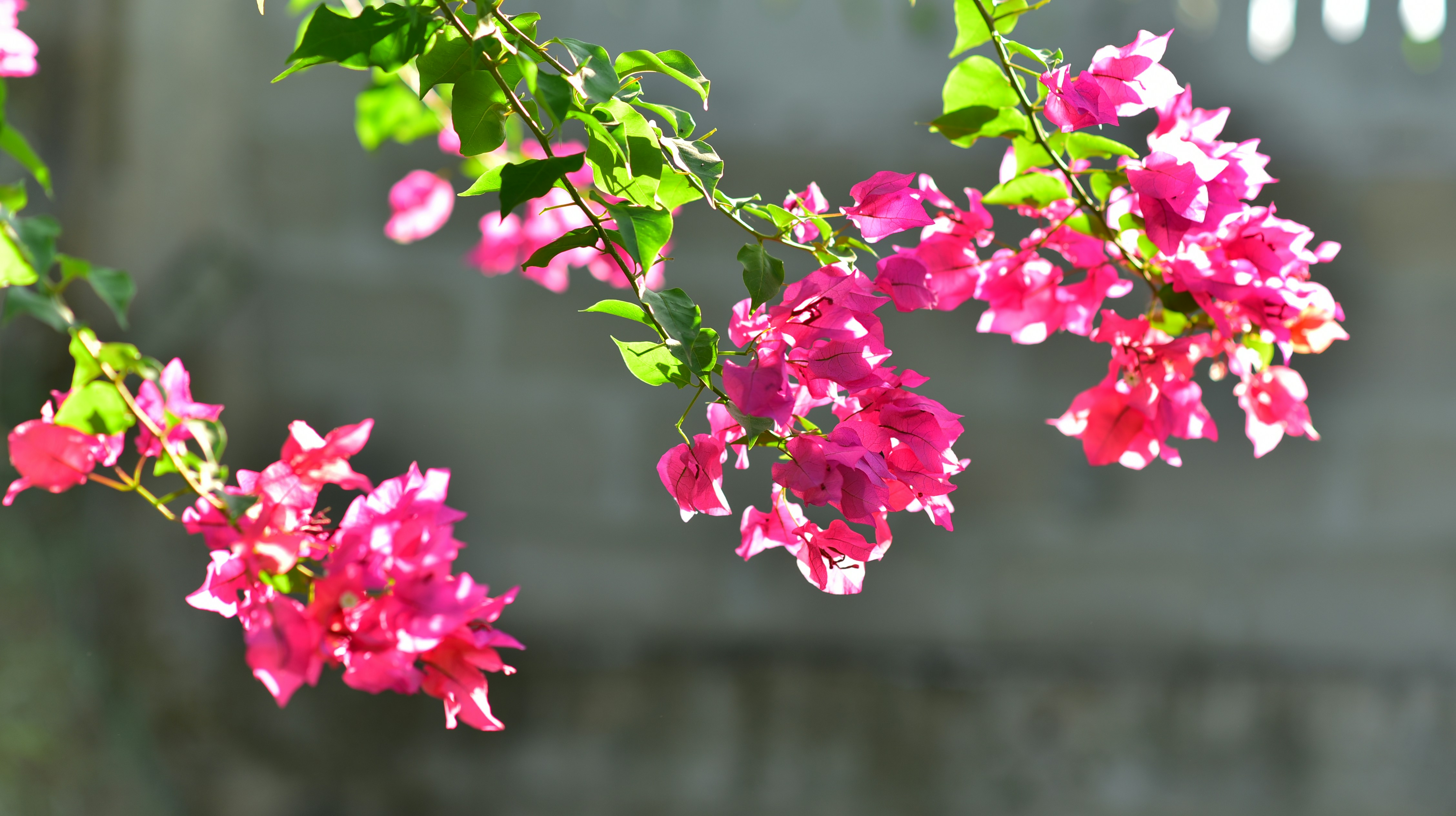 Photo by joshua_mhando