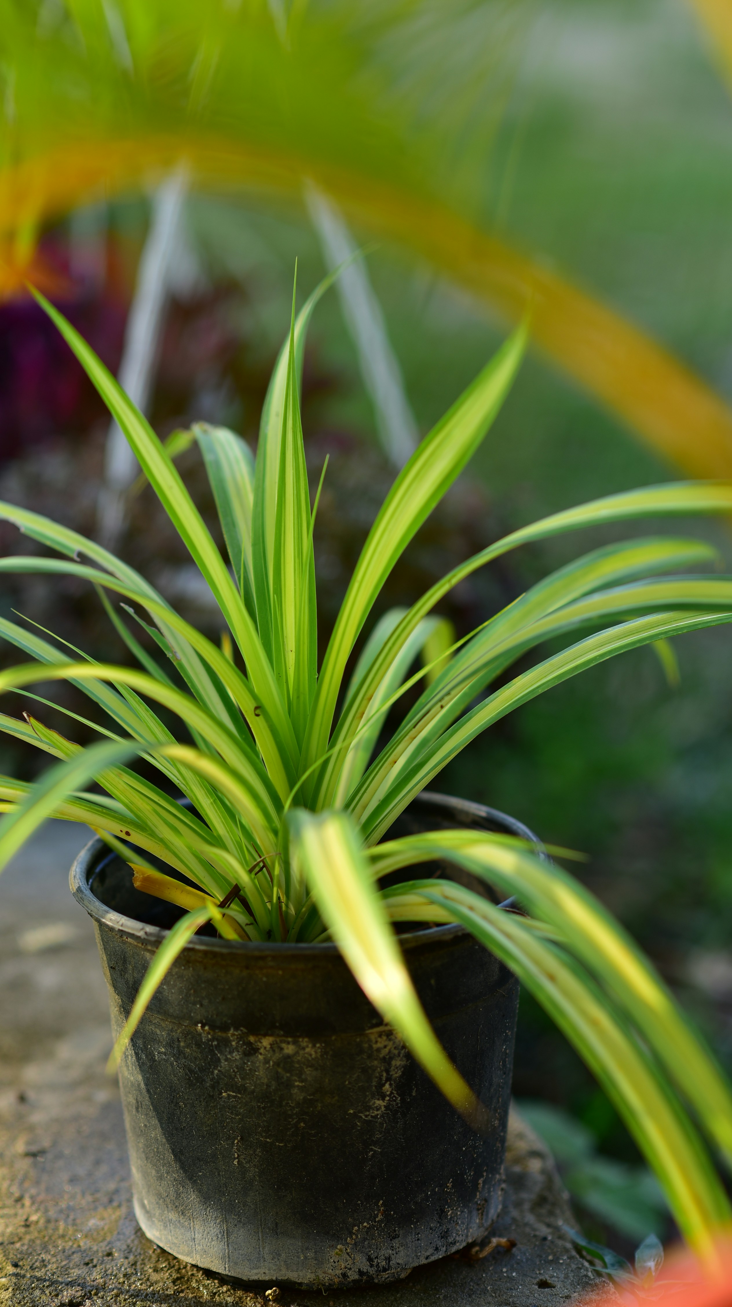 Photo by joshua_mhando