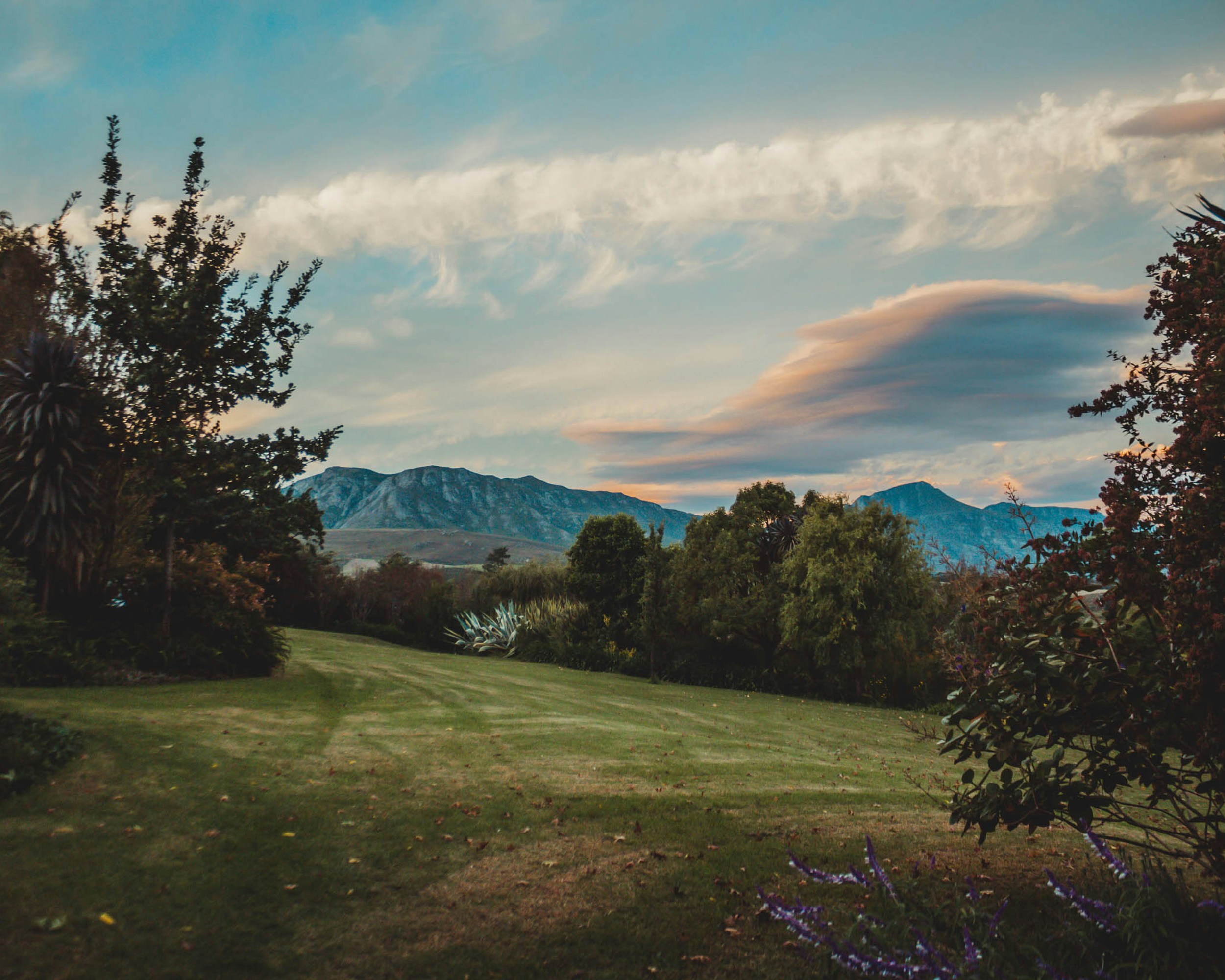 green grass field with trees and mountains in the distance