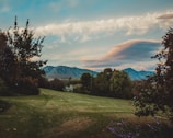A serene landscape featuring a lush green lawn bordered by various trees and shrubs. In the background, a range of mountains can be seen under a partly cloudy sky. The clouds are tinged with soft hues from the setting or rising sun.