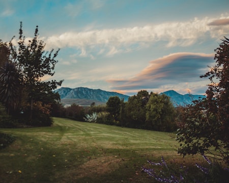 A serene landscape featuring a lush green lawn bordered by various trees and shrubs. In the background, a range of mountains can be seen under a partly cloudy sky. The clouds are tinged with soft hues from the setting or rising sun.