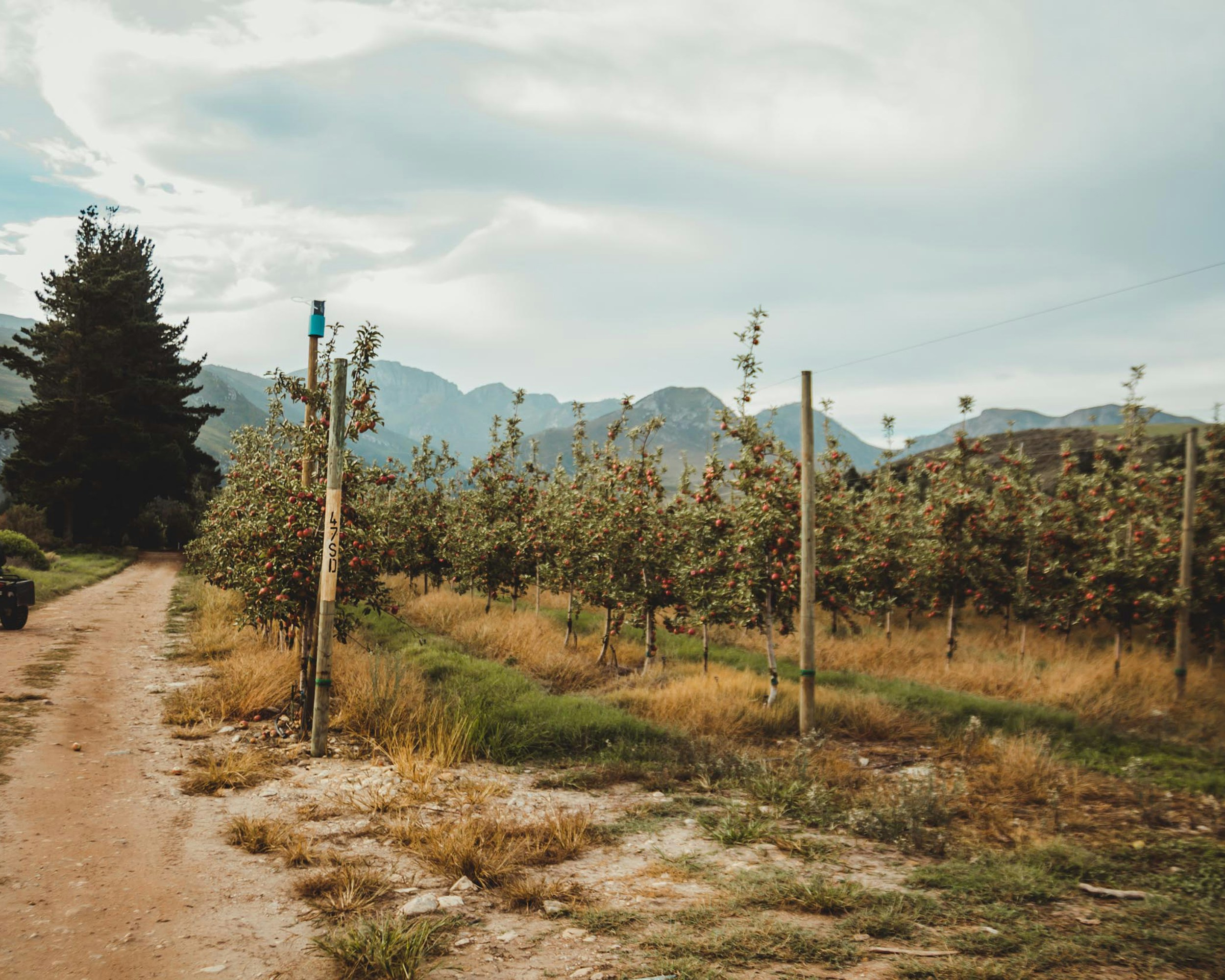 Greyton EcoLodge
