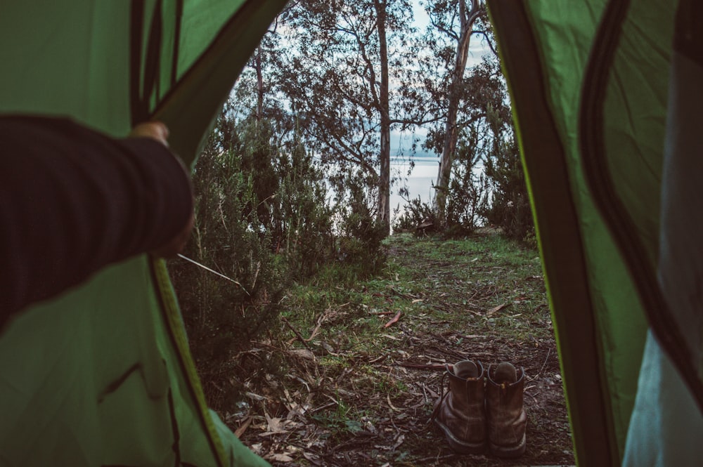 green tent near green trees during daytime