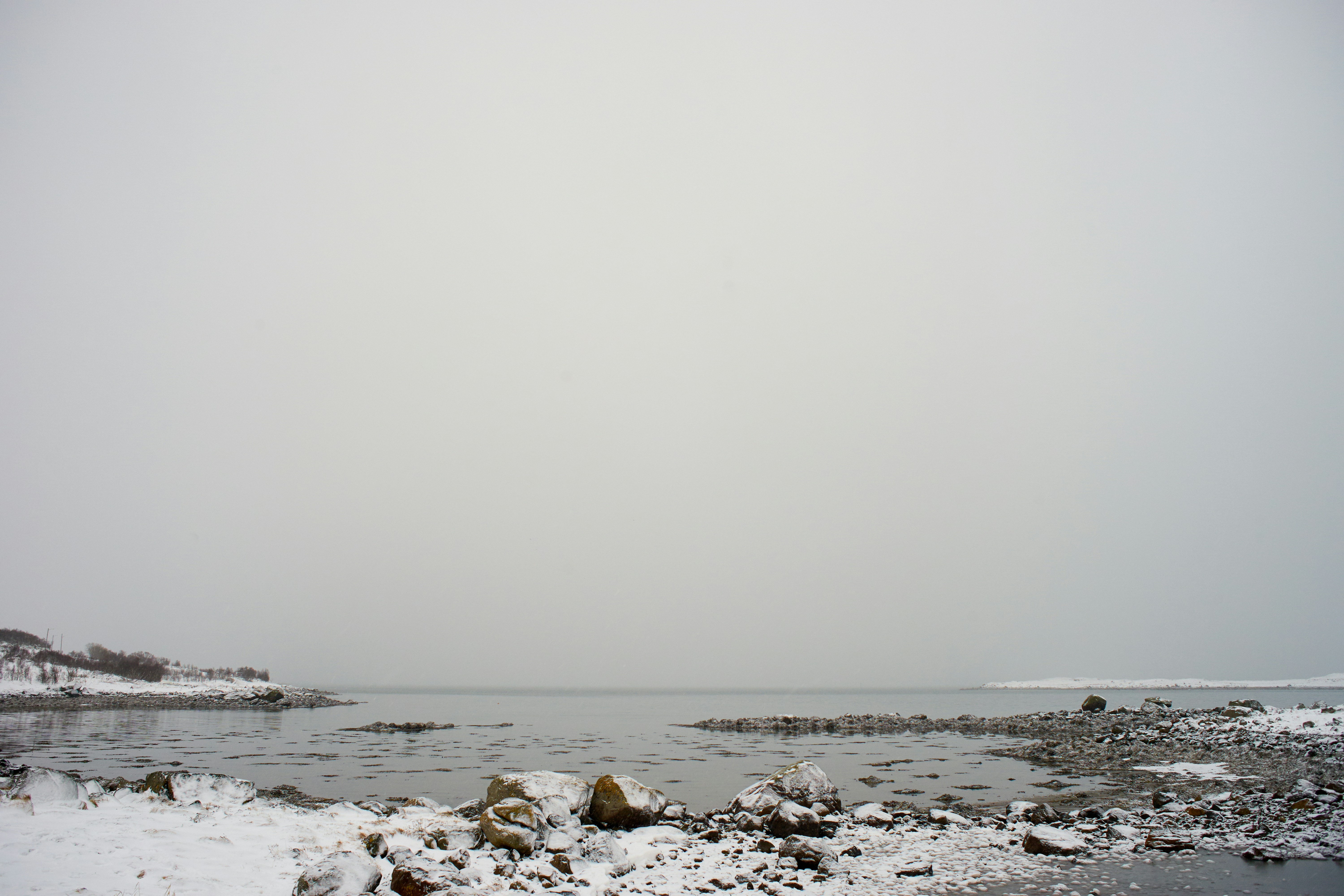 Photo by wolfgang_hasselmann