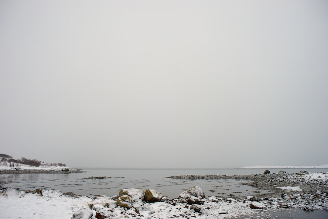 gray rocks on sea shore during daytime