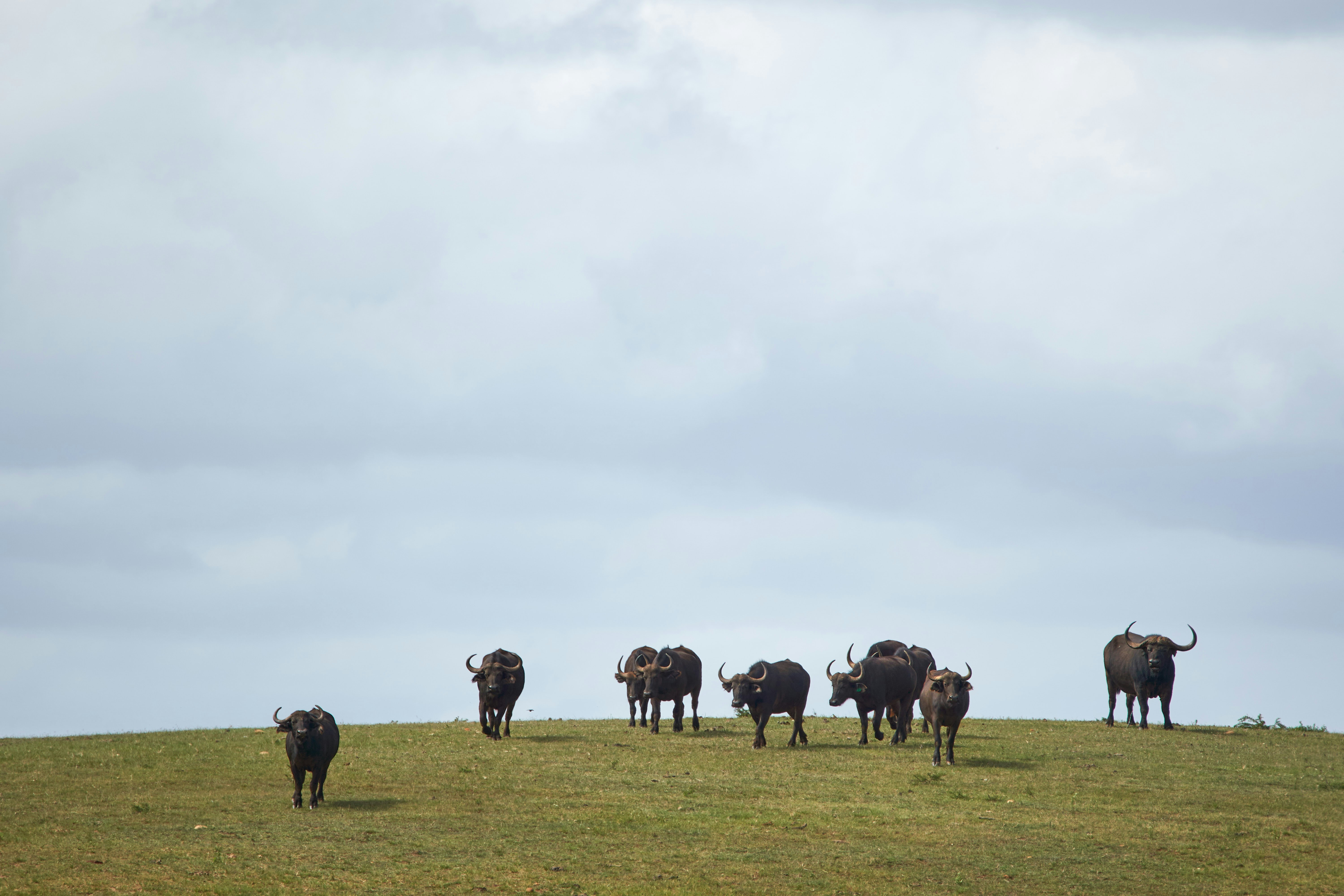 Afbeelding van Oost West en Middelbeers
