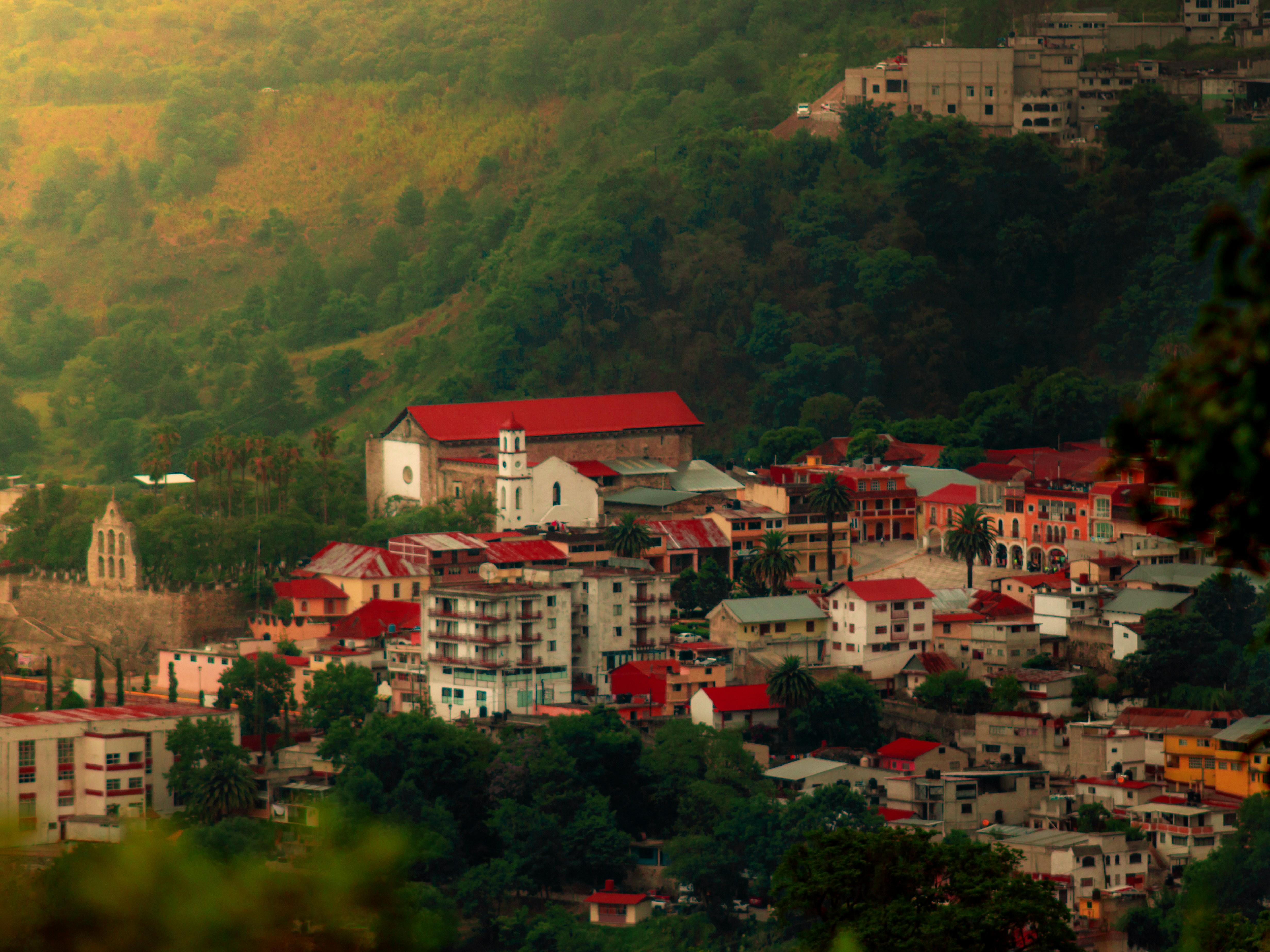 Photo by antonio_guzes