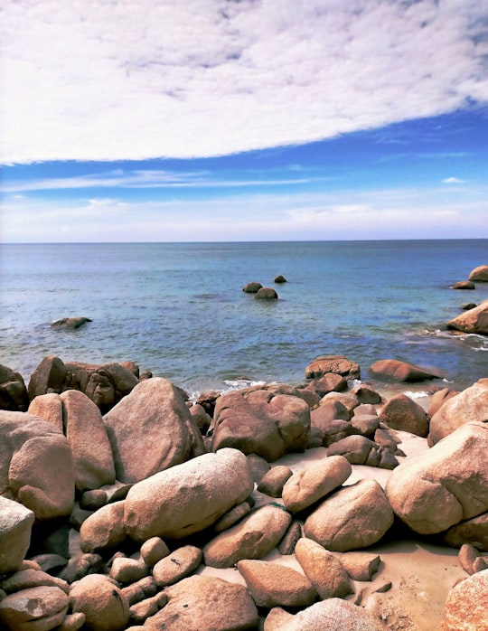 gray and brown rocks near body of water during daytime in Pahang Malaysia