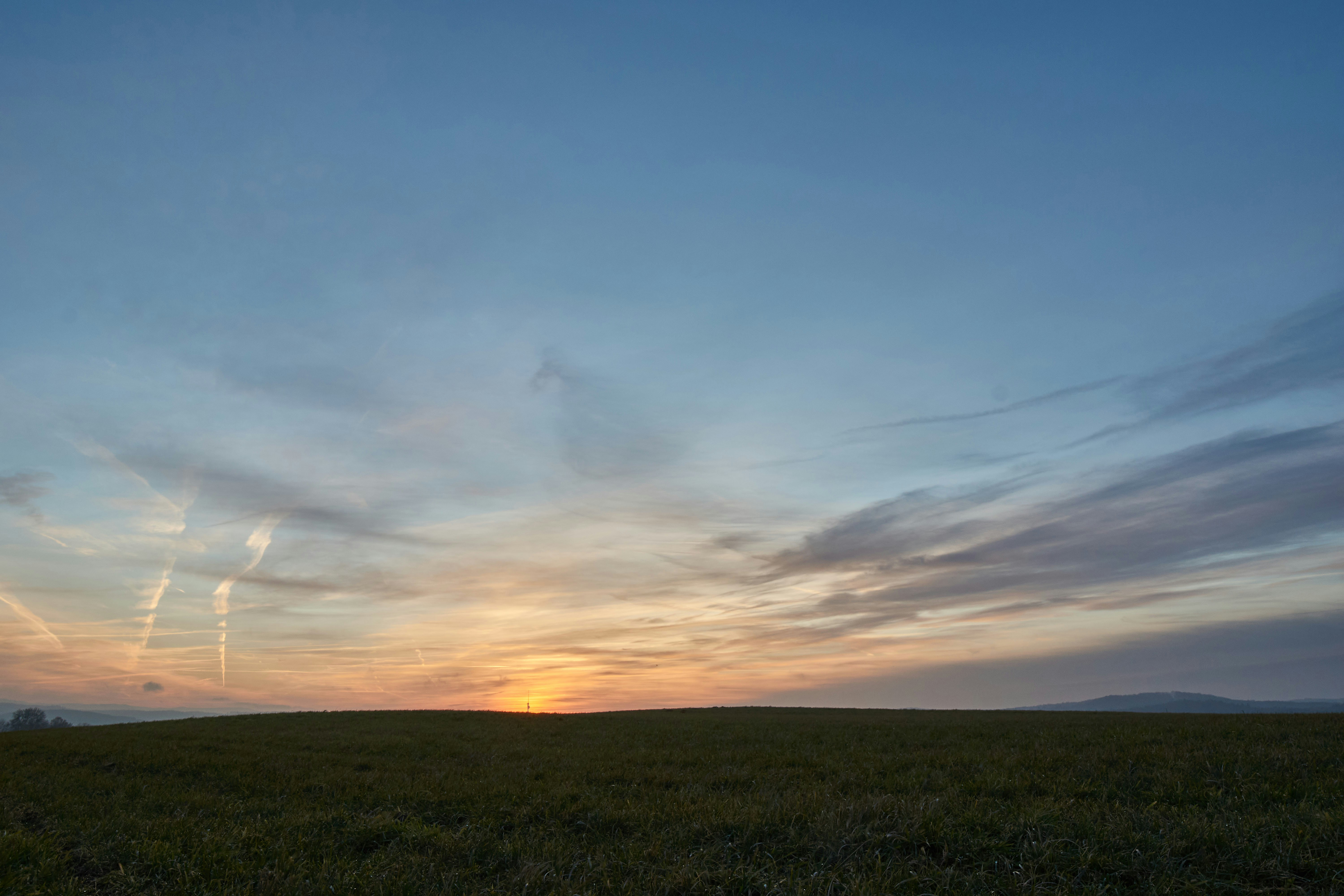 Photo by wolfgang_hasselmann