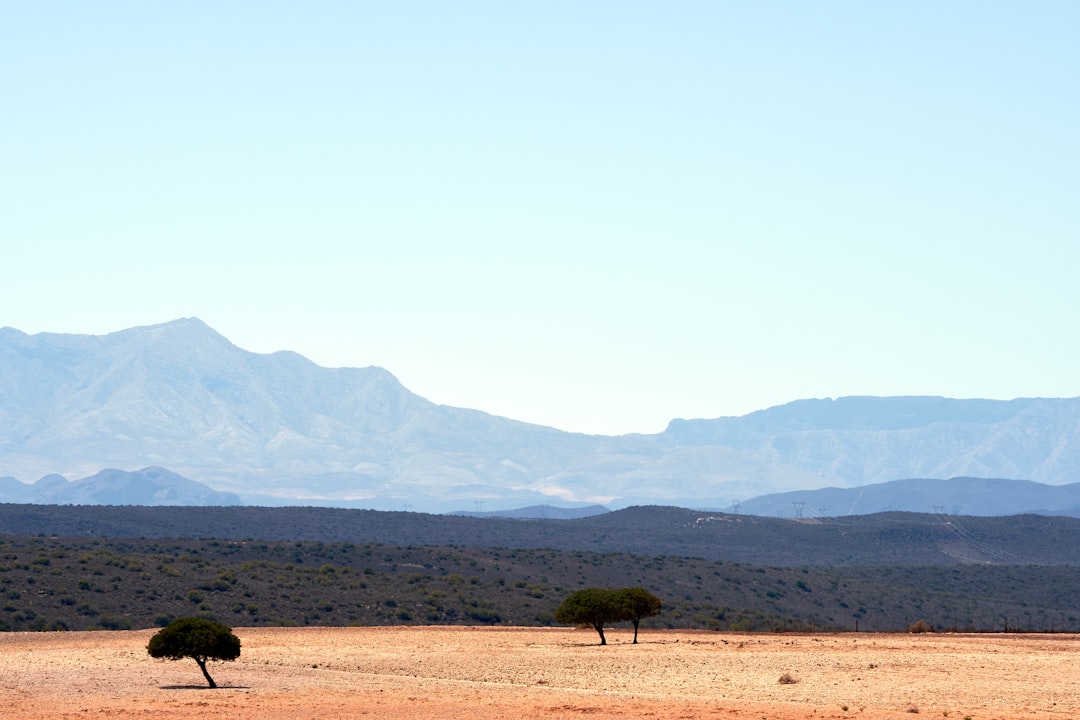 brown horse on brown field during daytime